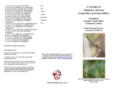 Gomphidae / Dragonflies / Lestidae / Enallagma / Argia / Lestes / Gomphus / Progomphus / Sympetrum / Odonata / Coenagrionidae / Libellulidae