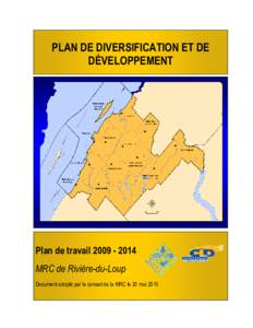 PLAN DE DIVERSIFICATION ET DE DÉVELOPPEMENT Plan de travail[removed]MRC de Rivière-du-Loup Document adopté par le conseil de la MRC le 20 mai 2010