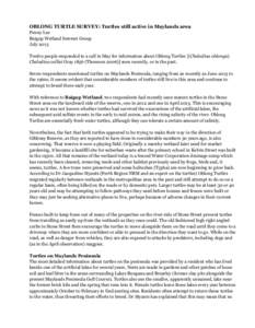 OBLONG TURTLE SURVEY: Turtles still active in Maylands area Penny Lee Baigup Wetland Interest Group July 2013 Twelve people responded to a call in May for information about Oblong Turtles [(Chelodina oblonga) Chelodina c