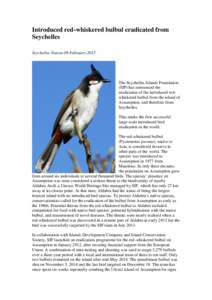 Introduced red-whiskered bulbul eradicated from Seychelles Seychelles Nation 09-February-2015 The Seychelles Islands Foundation (SIF) has announced the