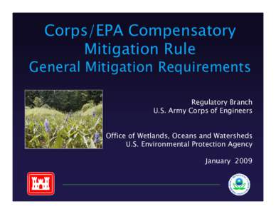 Corps/EPA Compensatory Mitigation Rule General Mitigation Requirements Regulatory Branch U.S. Army Corps of Engineers