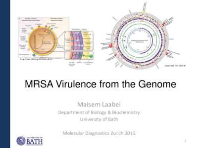 N Engl J MedAug 20;339(8):Lancet 2001; 357: 1225–40 MRSA Virulence from the Genome Maisem Laabei Department of Biology & Biochemistry
