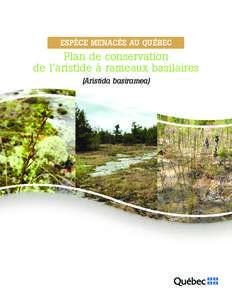 EspÈcE mEnacÉE au QuÉbEc  Plan de conservation de l’aristide à rameaux basilaires (Aristida basiramea)