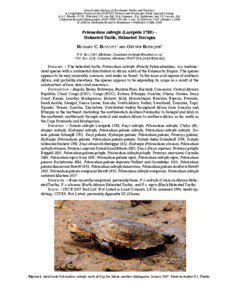 African helmeted turtle / Pelomedusa / Turtle / East African black mud turtle / Serrated hinged terrapin / Terrapin / Tortoise / Diamondback terrapin / Green sea turtle / Herpetology / Pelusios / Fauna of Madagascar
