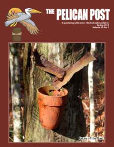 THE  PELICAN POST A quarterly publication - Weeks Bay Foundation Spring 2012 Volume 27, No. 1