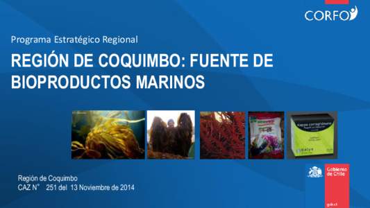 Programa Estratégico Regional  REGIÓN DE COQUIMBO: FUENTE DE BIOPRODUCTOS MARINOS  Región de Coquimbo