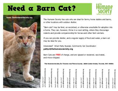 The Humane Society has cats who are ideal for farms, horse stables and barns, or other locations with outdoor shelter. “Barn cats” may be feral, un-socialized, or otherwise unsuitable for adoption into a home. They c