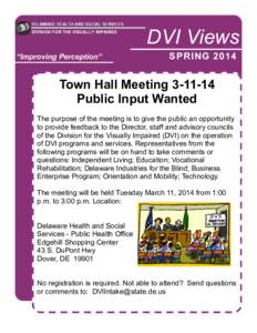 DVI Views “Improving Perception” SPRING[removed]Town Hall Meeting[removed]