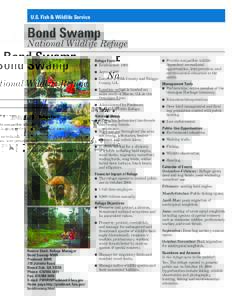 U.S. Fish & Wildlife Service  Bond Swamp National Wildlife Refuge