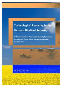 Technological Learning in the German Biodiesel Industry An Experience Curve Approach to Quantify Reductions in Production Costs, Energy Use and Greenhouse Gas Emissions