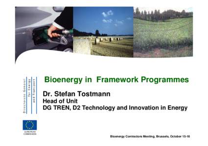 Bioenergy in Framework Programmes Dr. Stefan Tostmann Head of Unit DG TREN, D2 Technology and Innovation in Energy  EUROPEAN