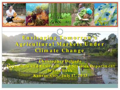 Envisaging Tomorrow’s Agricultural Markets Under Climate Change Christopher Delgado Agriculture and Environmental Services Department World Bank