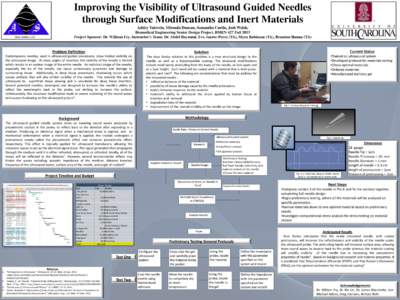 Improving the Visibility of Ultrasound Guided Needles through Surface Modifications and Inert Materials Ashley Valovcin, Miranda Duncan, Samantha Curtin, Josh Walsh, Biomedical Engineering Senior Design Project, BMEN 427