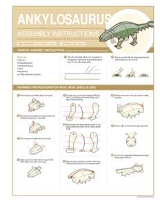 ANKYLOSAURUS ASSEMBLY INSTRUCTIONS TIME TO COMPLETE: Approximately 30 minutes DIFFICULTY LEVEL: Beginner