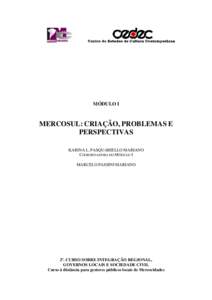 MÓDULO I  MERCOSUL: CRIAÇÃO, PROBLEMAS E PERSPECTIVAS KARINA L. PASQUARIELLO MARIANO COORDENADORA DO MÓDULO I