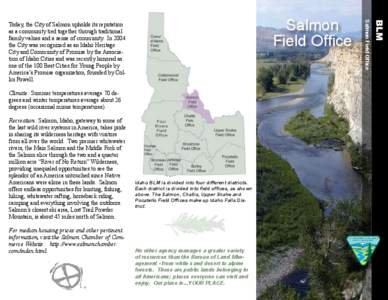 Salmon-Challis National Forest / Oily fish / Salmon / Salmonidae / Bureau of Land Management / Snake River / Geography of the United States / Idaho / Wild and Scenic Rivers of the United States