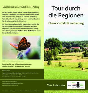 Vielfalt ist unser (Arbeits-)Alltag Ob wir Projekte fördern oder in eigener Regie umsetzen, wertvolle Flächen wie blütenreiche Trockenrasen, Wälder oder Moore sichern: Die tägliche Arbeit in der Stiftung NaturSchutz