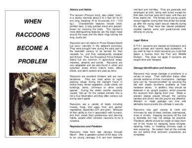 History and Habits  WHEN RACCOONS  The raccoon (Procyon lotor), also called “coon”,