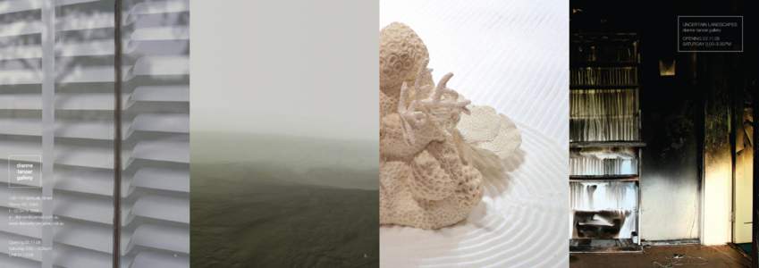 UNCERTAIN LANDSCAPES dianne tanzer gallery OPENING[removed]SATURDAY 3.00–5.00PM[removed]Gertrude Street