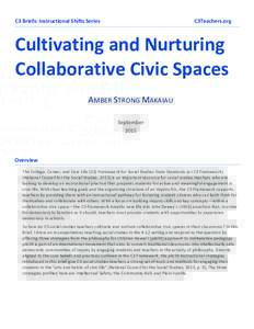 Microsoft Word - Collaborative Civic Spaces C3 Briefdocx