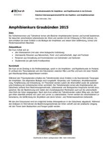 Koordinationsstelle für Amphibien- und Reptilienschutz in der Schweiz Bündner Interessengemeinschaft für den Reptilien- und Amphibienschutz Hans Schmocker, Chur Amphibienkurs Graubünden 2015 Ziele