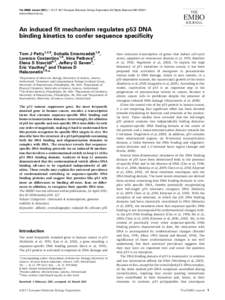 Biophysics / Molecular genetics / DNA / P53 / DNA-binding domain / DNA-binding protein / Binding domain / Nucleic acid double helix / Mdm2 / Biology / Proteins / Transcription factors