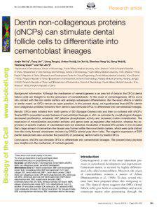 Cementoblast / Cementogenesis / Pulp / Tooth / Odontoblast / Cementum / Enamel matrix derivative / Epithelial root sheath / Bone sialoprotein / Dentistry / Tooth development / Dentin