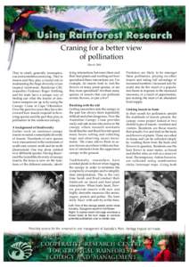 Craning for a better view of pollination March 2003 They’re small, generally inconspicuous and sometimes annoying. They’re insects and they play a crucial role in