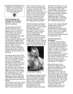 Reprinted from Rescue Report, the newsletter of the Wildlife Rescue League. If you have a concern about wildlife in your back yard, contact the Wildlife Hotline at[removed].