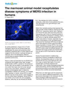 The marmoset animal model recapitulates disease symptoms of MERS infection in humans