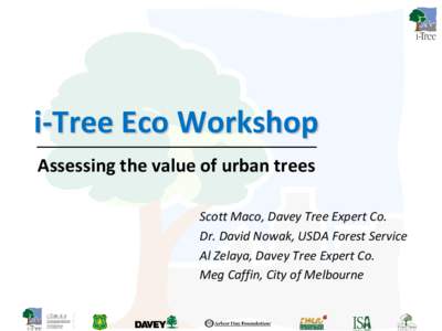 i-Tree Eco Workshop Assessing the value of urban trees Scott Maco, Davey Tree Expert Co. Dr. David Nowak, USDA Forest Service Al Zelaya, Davey Tree Expert Co. Meg Caffin, City of Melbourne