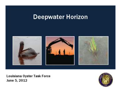 Deepwater Horizon  Louisiana Oyster Task Force June 5, 2012  Natural Resource Damage