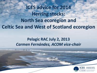 ICES advice for 2014 Herring stocks: North Sea ecoregion and Celtic Sea and West of Scotland ecoregion Pelagic RAC July 2, 2013 Carmen Fernández, ACOM vice-chair