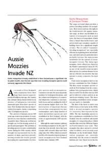 Exotic Mosquitoes: A Constant Threat Aussie Mozzies Invade NZ