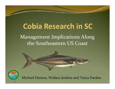 Management Implications Along  the Southeastern US Coast Michael Denson, Wallace Jenkins and Tanya Darden   Cobia