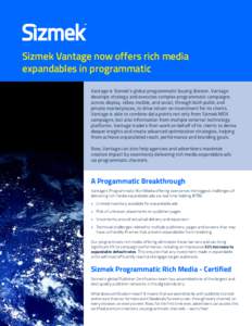 Sizmek Vantage now offers rich media expandables in programmatic Vantage is Sizmek’s global programmatic buying division. Vantage develops strategy and executes complex programmatic campaigns across display, video, mob