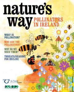 nature’s way POLLINATORS IN IRELAND