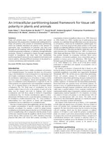 HYPOTHESISDevelopment 140, doi:dev © 2013. Published by The Company of Biologists Ltd  An intracellular partitioning-based framework for tissue cell