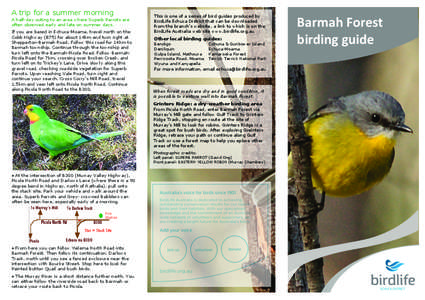 A trip for a summer morning A half-day outing to an area where Superb Parrots are often observed early and late on summer days.