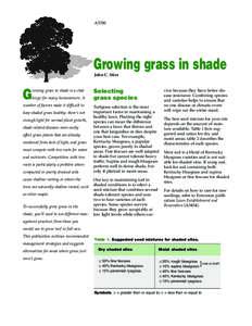 A3700  Growing grass in shade John C. Stier  rowing grass in shade is a chal-