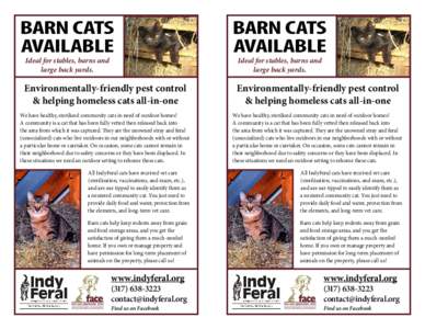 BARN CATS AVAILABLE Ideal for stables, barns and large back yards.  BARN CATS