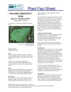 Plant Fact Sheet SWAMP CHESTNUT OAK Quercus michauxii Nutt. Plant Symbol = QUMI Contributed by: USDA NRCS National Plant Data
