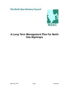 The North Sea Advisory Council  A Long Term Management Plan for North Sea Nephrops  Nephrops LTMP