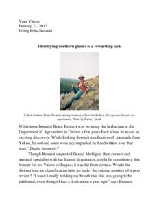 Your Yukon January 31, 2013 Erling Friis-Baastad Identifying northern plants is a rewarding task