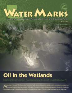 Business / Geography of Mexico / Natural environment / Coastal Wetlands Planning /  Protection and Restoration Act / Mississippi River Delta / Deepwater Horizon / Oil spill / Gulf of Mexico / BP / Wetland / Deepwater / Louisiana Coastal Protection and Restoration Authority