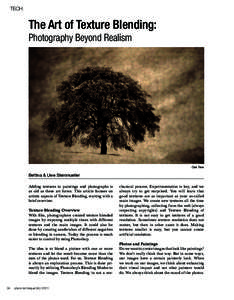 TECH:  The Art of Texture Blending: Photography Beyond Realism  Oak Tree