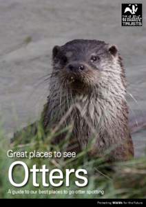 Great places to see  Otters
