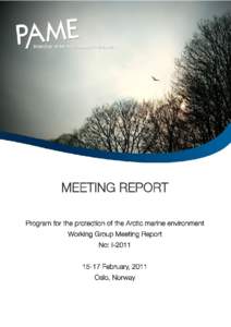 MEETING REPORT Program for the protection of the Arctic marine environment Working Group Meeting Report No: I[removed]February, 2011 Oslo, Norway