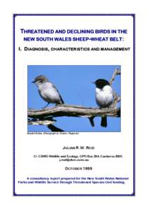 THREATENED AND DECLINING WOODLAND BIRDS IN THE NEW SOUTH WALES SHEEP-WHEAT BELT