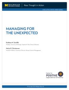 Risk / Motivation / Positive psychology / Psychological resilience / Social vulnerability / Unexpected events / Vulnerability / Skill / Knowledge / Ethics / Business